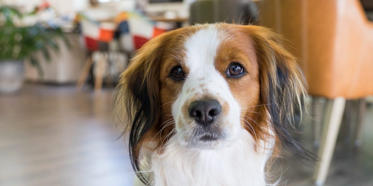 Kundenbindung in Coronazeiten